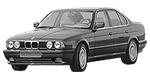 BMW E34 B204D Fault Code